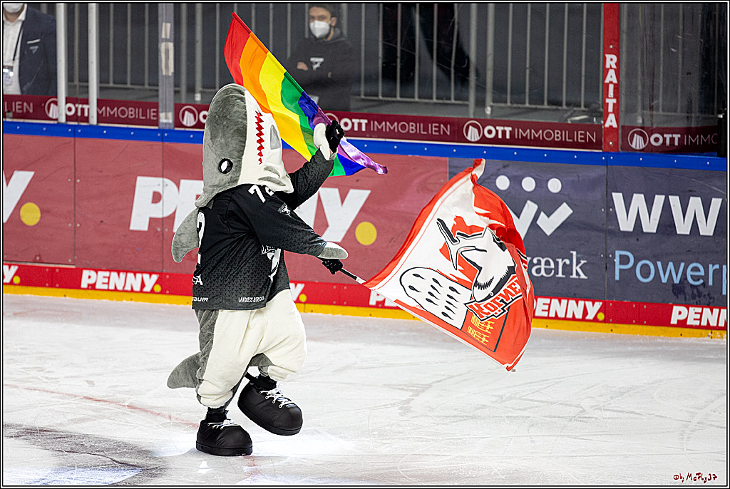 PENNY DEL;  Koelner Haie - Fischtown Pinguins Bremerhaven; Koeln, 17.01.2021